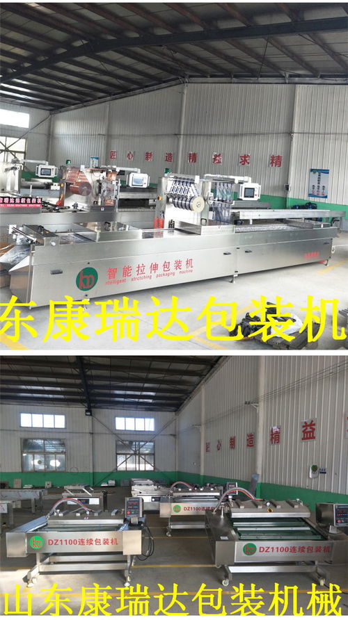 鴨脖全自動連續(xù)真空包裝機哪家好 山東康瑞達 誠信商家